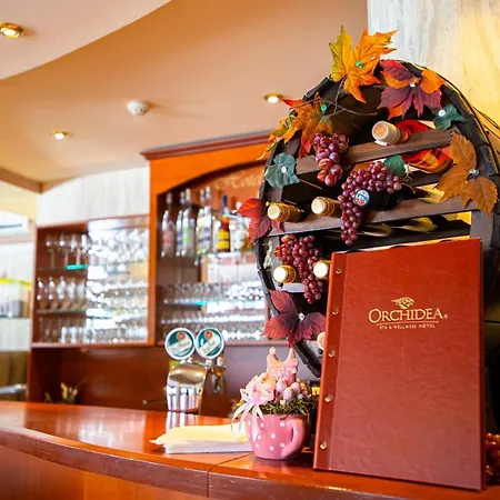 & Wellness Orchidea Hotel Veľký Meder