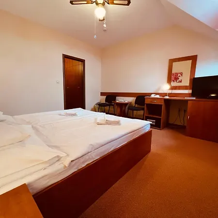 ホテル Orchidea & Wellness Veľký Meder