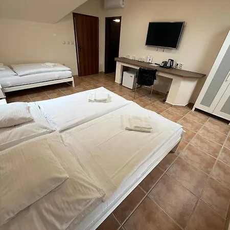 Hotel Orchidea & Wellness Veľký Meder
